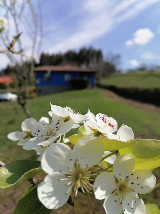 JuncedoLa Casa Azul De Lua Un Lugar Magico别墅 外观 照片