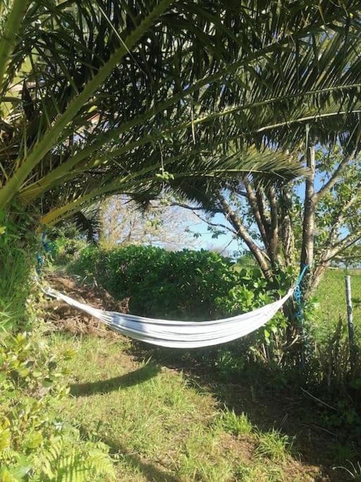 JuncedoLa Casa Azul De Lua Un Lugar Magico别墅 外观 照片