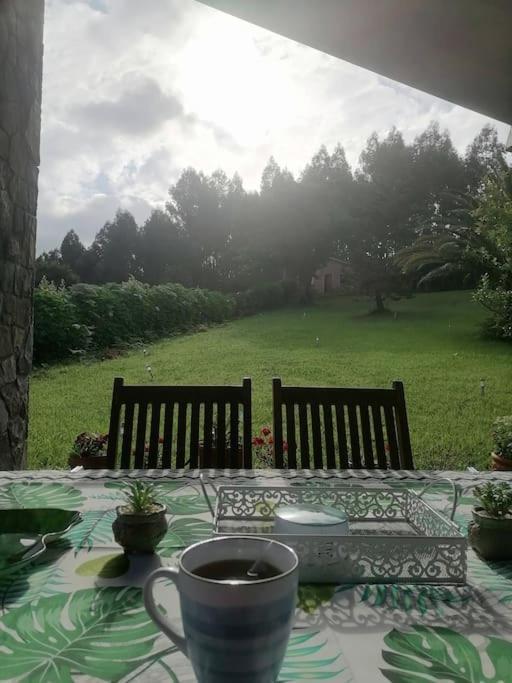 JuncedoLa Casa Azul De Lua Un Lugar Magico别墅 外观 照片